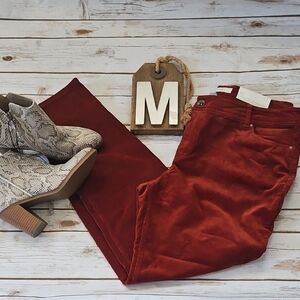 Cato Burnt Orange Corduroy Slim Fit Pants NWT